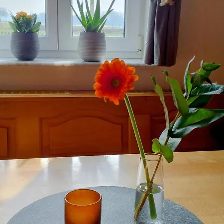 Oberamer Hof באד סאולגאו