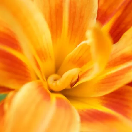 Oberamer Hof Szálloda Bad Saulgau