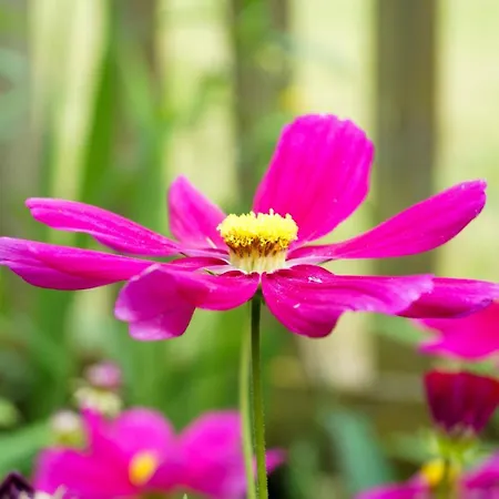 Oberamer Hof Bad Saulgau