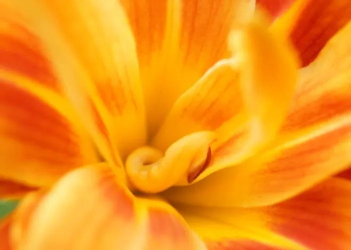 Oberamer Hof Hotel Bad Saulgau