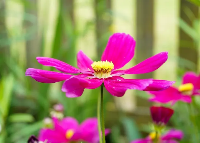 Oberamer Hof Bad Saulgau